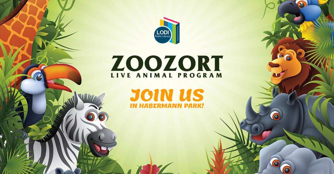 zoozort promotional slider